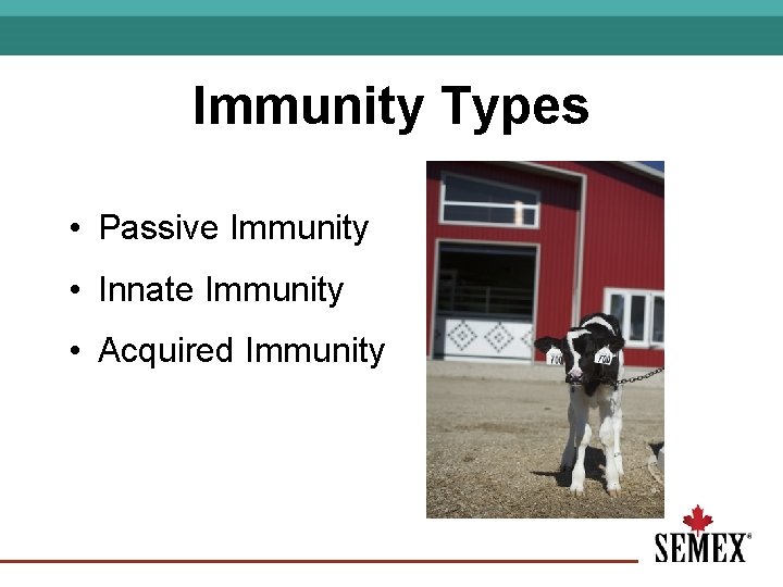 Immunity Types • Passive Immunity • Innate Immunity • Acquired Immunity 