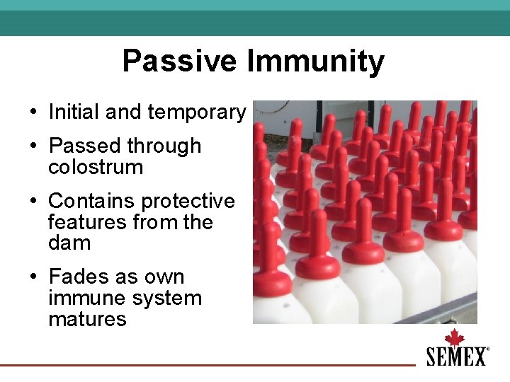Passive Immunity • Initial and temporary • Passed through colostrum • Contains protective features
