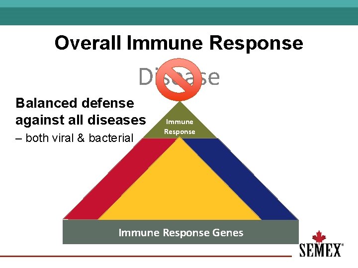 Overall Immune Response Disease Balanced defense against all diseases – both viral & bacterial