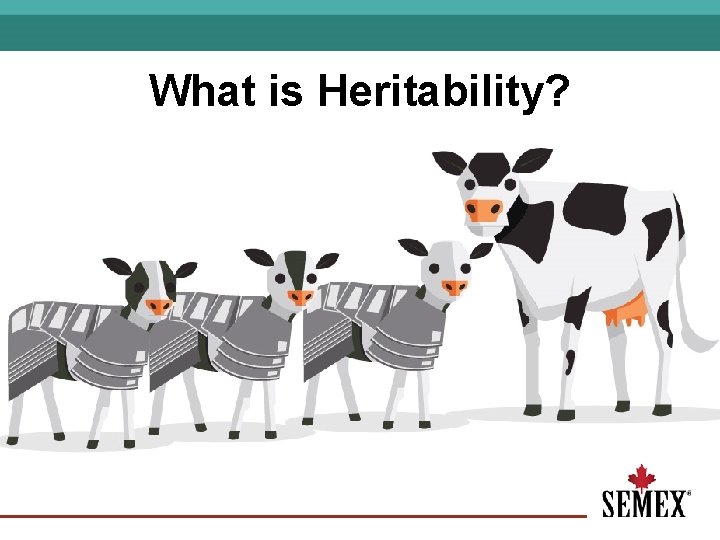 What is Heritability? 