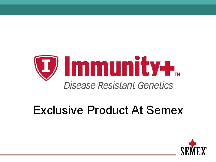 Exclusive Product At Semex 