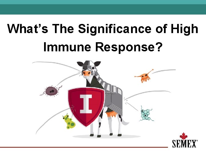 What’s The Significance of High Immune Response? 