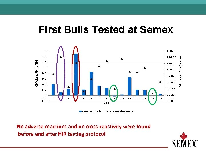 First Bulls Tested at Semex No adverse reactions and no cross-reactivity were found before