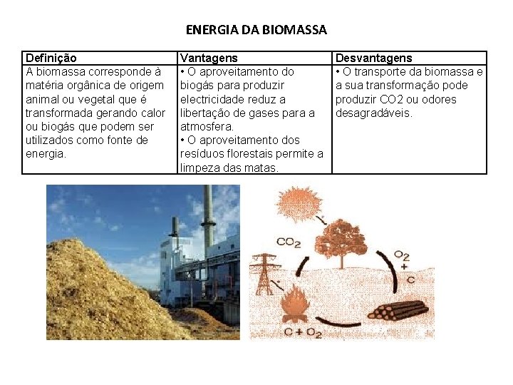 ENERGIA DA BIOMASSA Definição A biomassa corresponde à matéria orgânica de origem animal ou