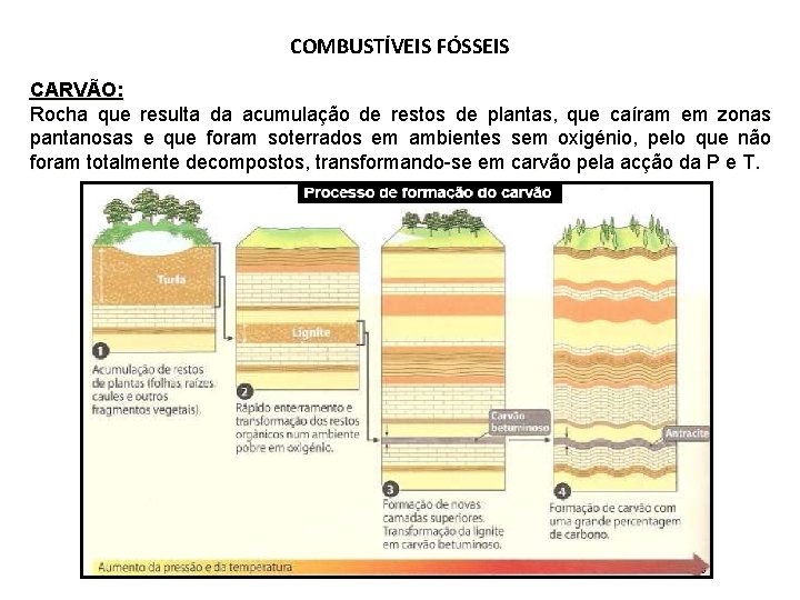 COMBUSTÍVEIS FÓSSEIS CARVÃO: Rocha que resulta da acumulação de restos de plantas, que caíram