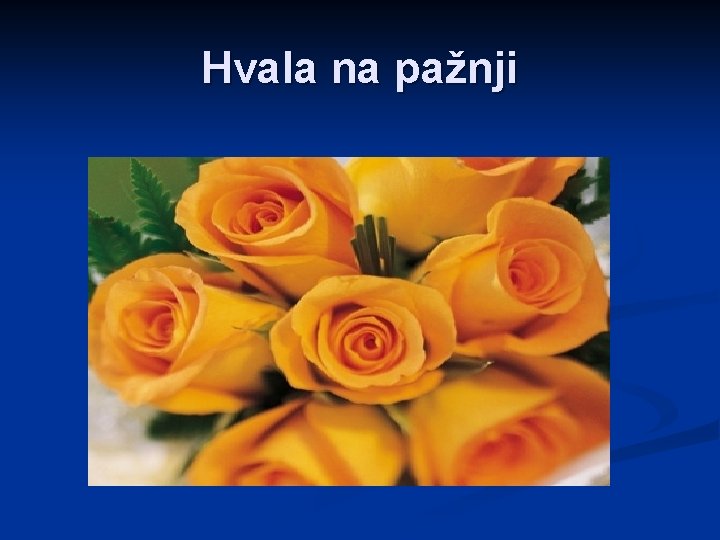 Hvala na pažnji 