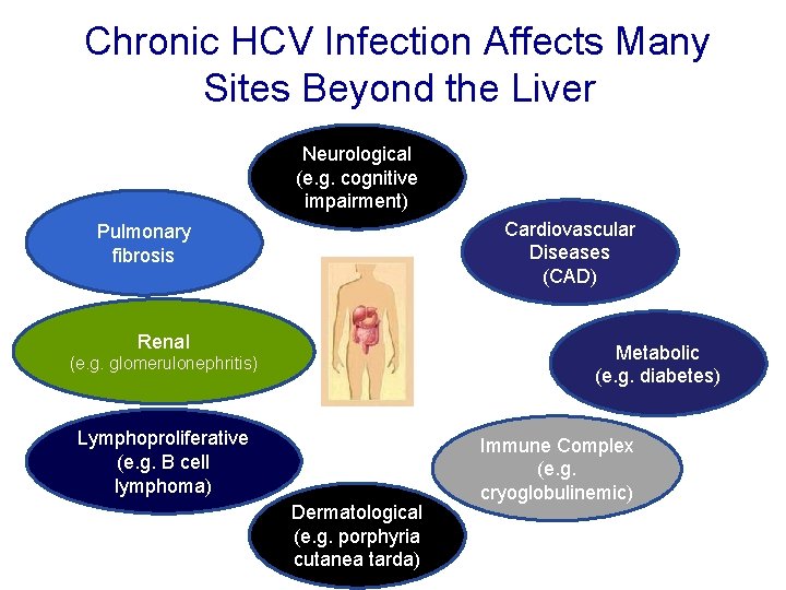 Chronic HCV Infection Affects Many Sites Beyond the Liver Neurological (e. g. cognitive impairment) Chronic HCV Infection Affects Many Sites Beyond the Liver Neurological (e. g. cognitive impairment)
