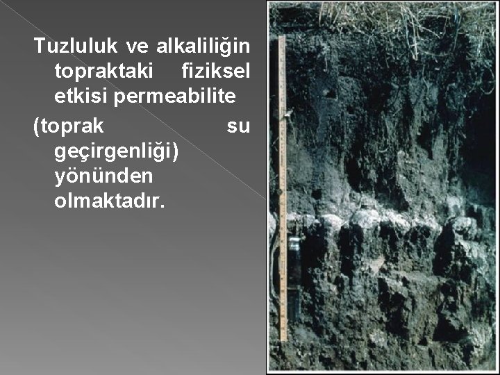 Tuzluluk ve alkaliliğin topraktaki fiziksel etkisi permeabilite (toprak su geçirgenliği) yönünden olmaktadır. 