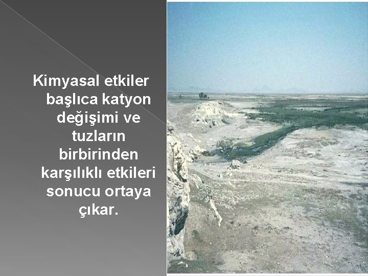 Kimyasal etkiler başlıca katyon değişimi ve tuzların birbirinden karşılıklı etkileri sonucu ortaya çıkar. 