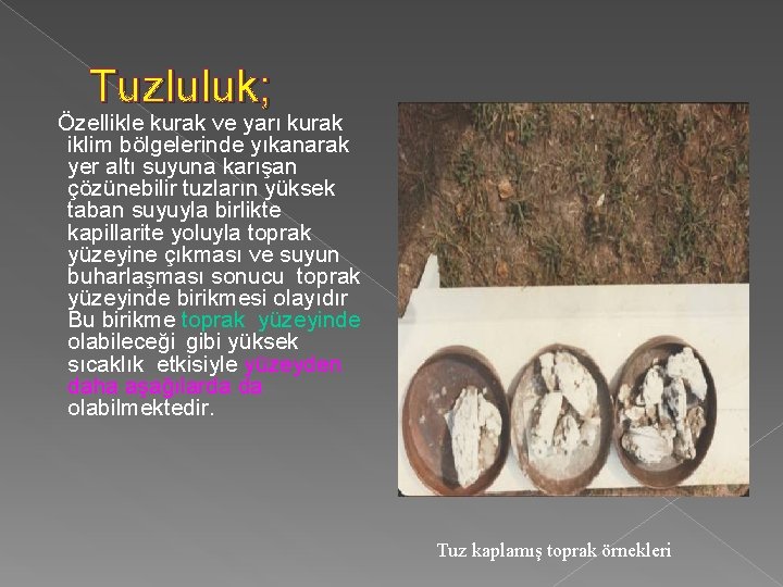 Tuzluluk; Özellikle kurak ve yarı kurak iklim bölgelerinde yıkanarak yer altı suyuna karışan çözünebilir