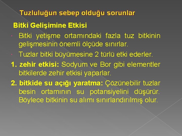 Tuzluluğun sebep olduğu sorunlar Bitki Gelişimine Etkisi Bitki yetişme ortamındaki fazla tuz bitkinin gelişmesinin