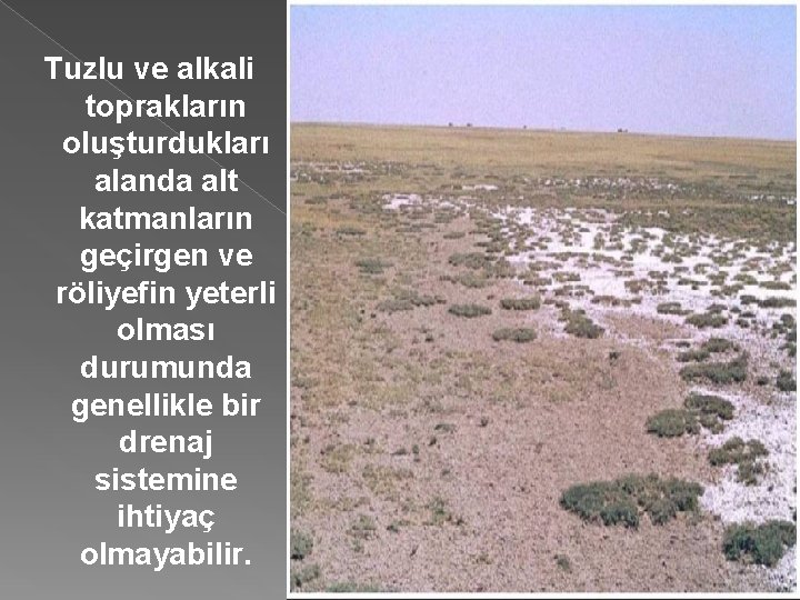 Tuzlu ve alkali toprakların oluşturdukları alanda alt katmanların geçirgen ve röliyefin yeterli olması durumunda