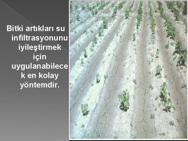 Bitki artıkları su infiltrasyonunu iyileştirmek için uygulanabilece k en kolay yöntemdir. 