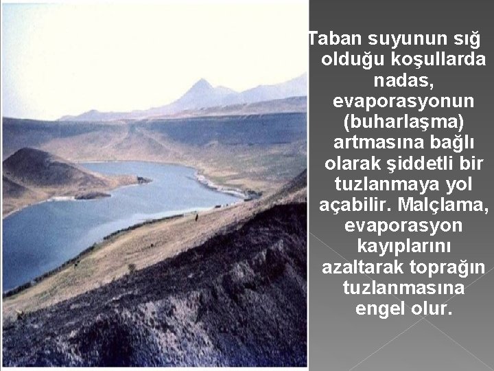 Taban suyunun sığ olduğu koşullarda nadas, evaporasyonun (buharlaşma) artmasına bağlı olarak şiddetli bir tuzlanmaya
