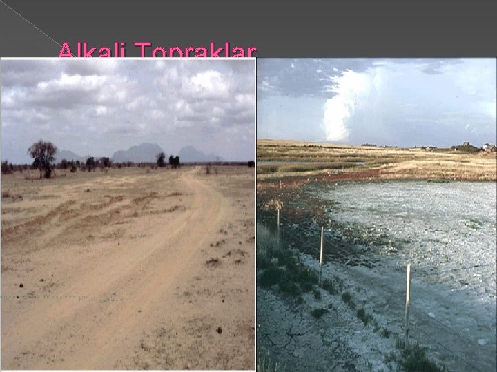 Alkali Topraklar 