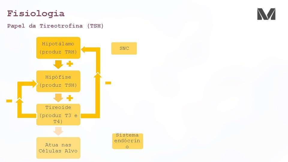 Fisiologia Papel da Tireotrofina (TSH) Hipotálamo (produz TRH) SNC Hipófise (produz TSH) Tireoide (produz