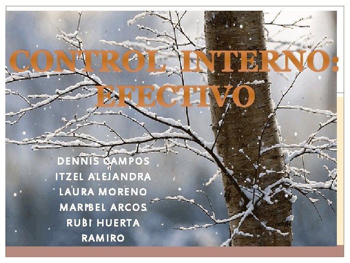 CONTROL INTERNO: EFECTIVO DENNIS CAMPOS ITZEL ALEJANDRA LAURA MORENO MARIBEL ARCOS RUBI HUERTA RAMIRO