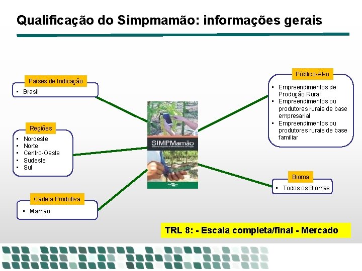 Qualificação do Simpmamão: informações gerais Público-Alvo Países de Indicação • Brasil Regiões • • Qualificação do Simpmamão: informações gerais Público-Alvo Países de Indicação • Brasil Regiões • •