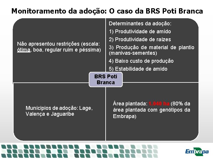 Monitoramento da adoção: O caso da BRS Poti Branca Determinantes da adoção: 1) Produtividade Monitoramento da adoção: O caso da BRS Poti Branca Determinantes da adoção: 1) Produtividade
