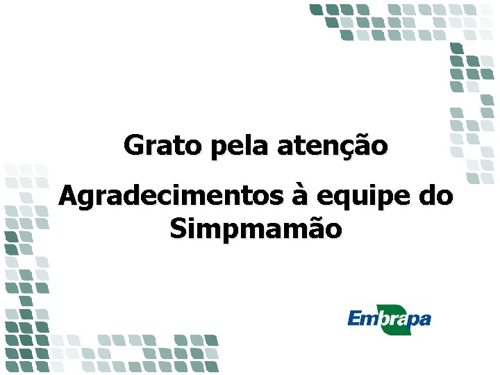 Grato pela atenção Agradecimentos à equipe do Simpmamão Grato pela atenção Agradecimentos à equipe do Simpmamão