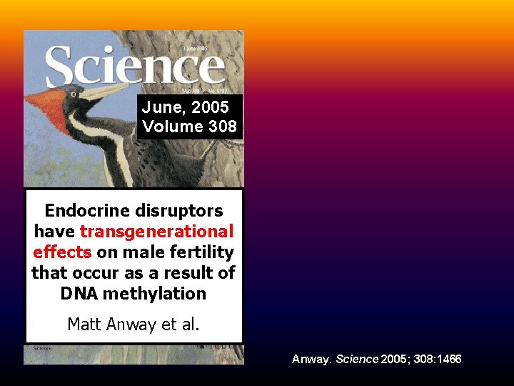 June, 2005 Volume 308 Endocrine disruptors have transgenerational effects on male fertility that occur