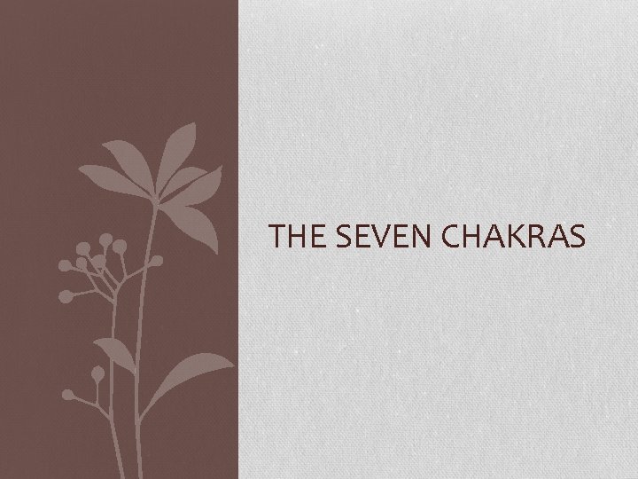 THE SEVEN CHAKRAS THE SEVEN CHAKRAS