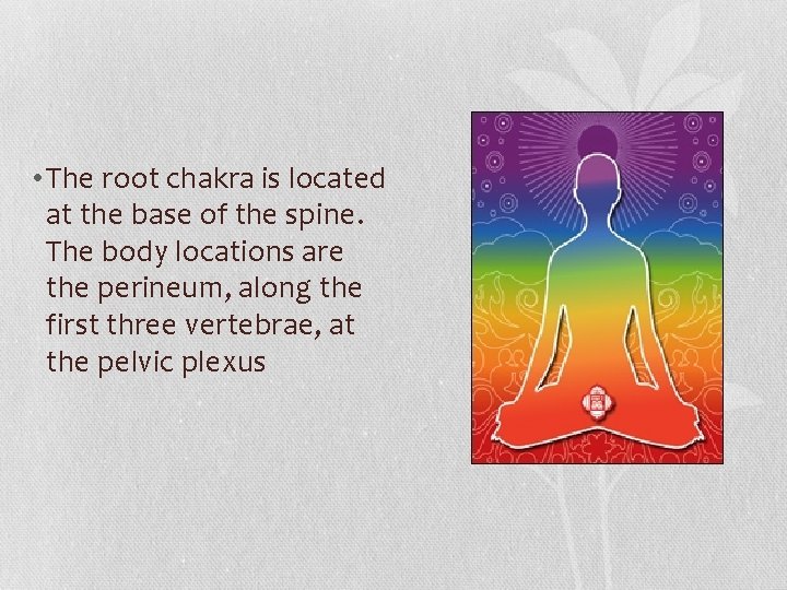 • The root chakra is located at the base of the spine. The • The root chakra is located at the base of the spine. The