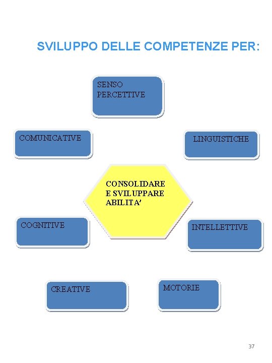 SVILUPPO DELLE COMPETENZE PER: SENSO PERCETTIVE COMUNICATIVE LINGUISTICHE CONSOLIDARE E SVILUPPARE ABILITA’ COGNITIVE CREATIVE