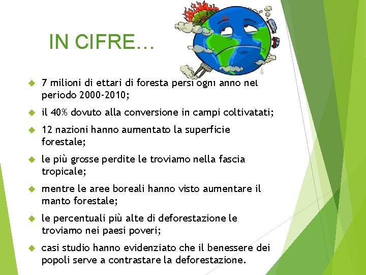 IN CIFRE… 7 milioni di ettari di foresta persi ogni anno nel periodo 2000