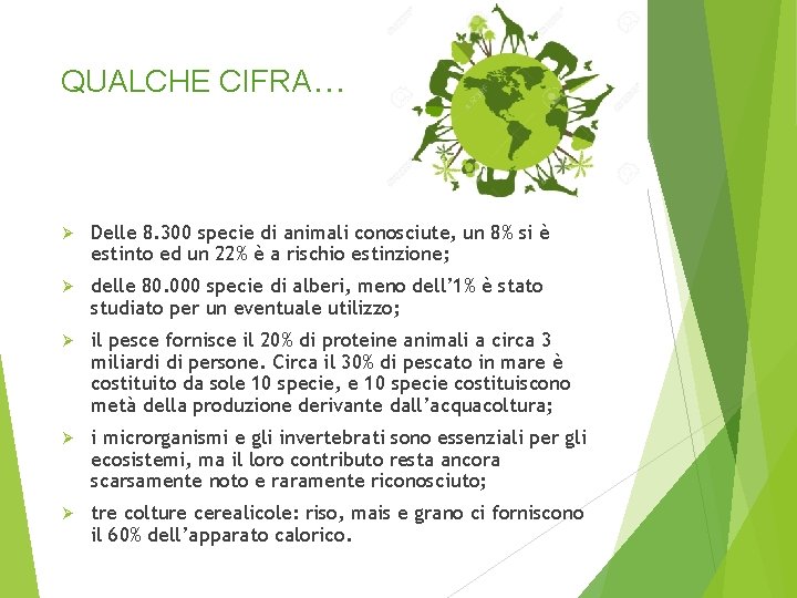 QUALCHE CIFRA… Ø Delle 8. 300 specie di animali conosciute, un 8% si è