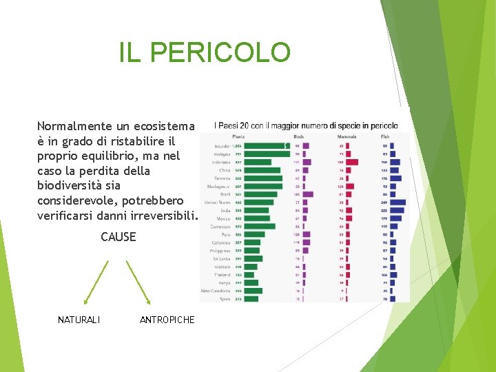 IL PERICOLO Normalmente un ecosistema è in grado di ristabilire il proprio equilibrio, ma