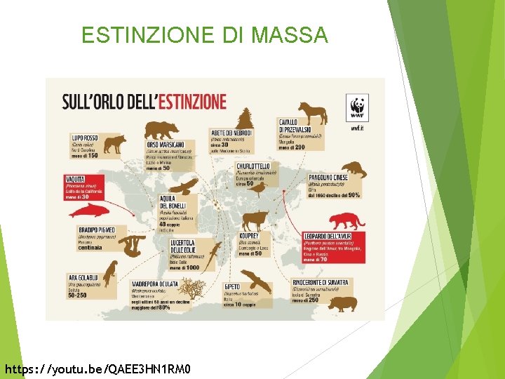 ESTINZIONE DI MASSA https: //youtu. be/QAEE 3 HN 1 RM 0 
