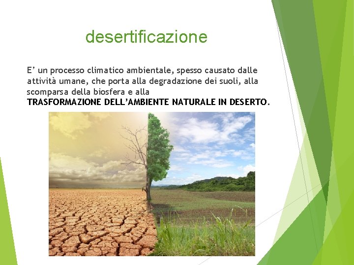 desertificazione E’ un processo climatico ambientale, spesso causato dalle attività umane, che porta alla