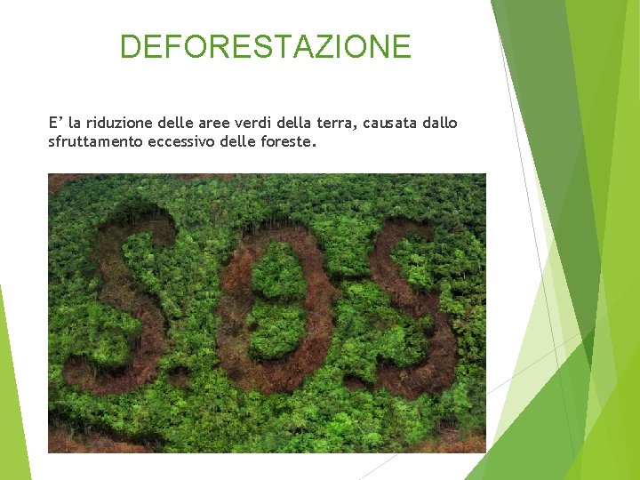 DEFORESTAZIONE E’ la riduzione delle aree verdi della terra, causata dallo sfruttamento eccessivo delle