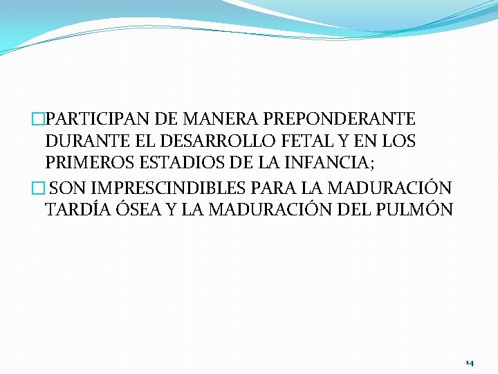 �PARTICIPAN DE MANERA PREPONDERANTE DURANTE EL DESARROLLO FETAL Y EN LOS PRIMEROS ESTADIOS DE