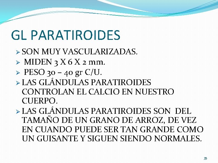 GL PARATIROIDES Ø SON MUY VASCULARIZADAS. Ø MIDEN 3 X 6 X 2 mm.