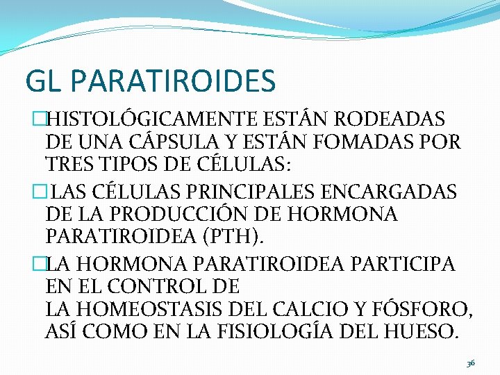 GL PARATIROIDES �HISTOLÓGICAMENTE ESTÁN RODEADAS DE UNA CÁPSULA Y ESTÁN FOMADAS POR TRES TIPOS