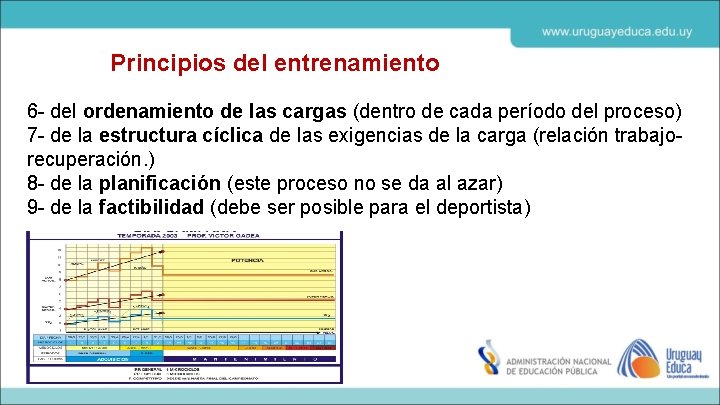 Principios del entrenamiento 6 - del ordenamiento de las cargas (dentro de cada período