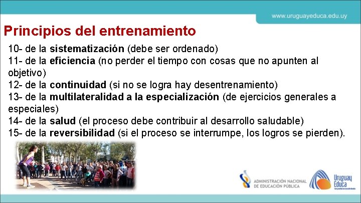 Principios del entrenamiento 10 - de la sistematización (debe ser ordenado) 11 - de