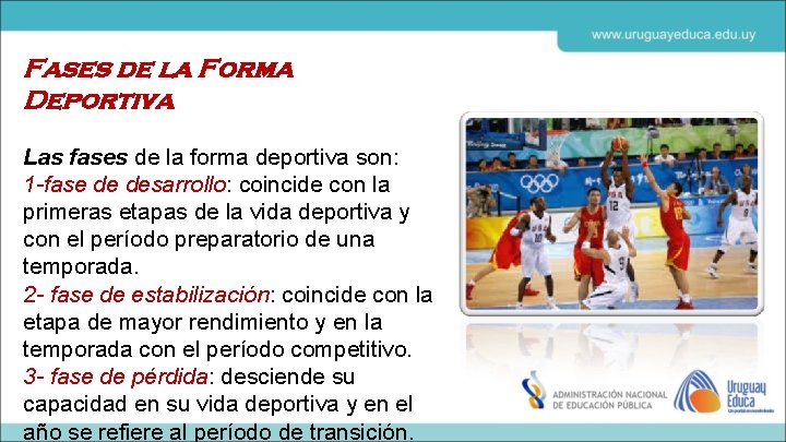 Fases de la Forma Deportiva Las fases de la forma deportiva son: 1 -fase