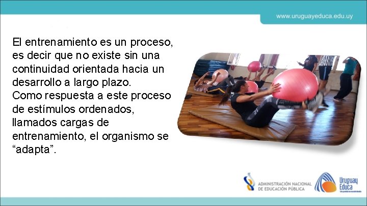 El entrenamiento es un proceso, es decir que no existe sin una continuidad orientada