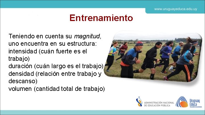 Entrenamiento Teniendo en cuenta su magnitud, uno encuentra en su estructura: intensidad (cuán fuerte