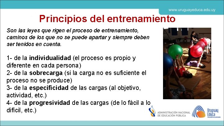Principios del entrenamiento Son las leyes que rigen el proceso de entrenamiento, caminos de