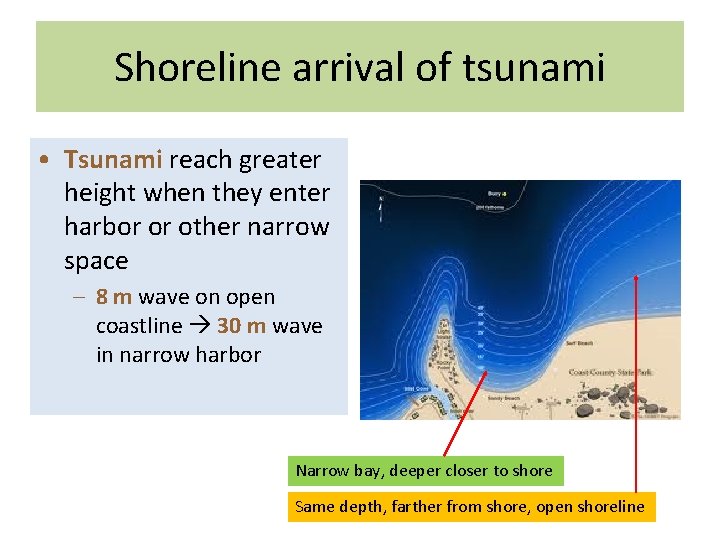 Shoreline arrival of tsunami • Tsunami reach greater height when they enter harbor or