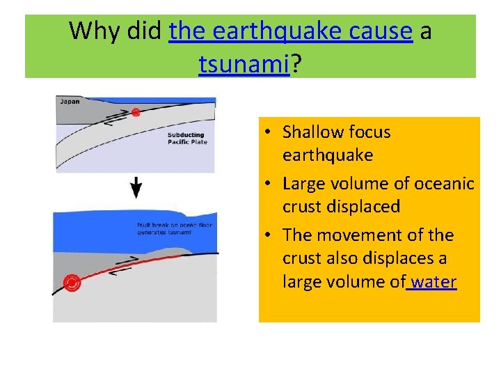 Why did the earthquake cause a tsunami? • Shallow focus earthquake • Large volume