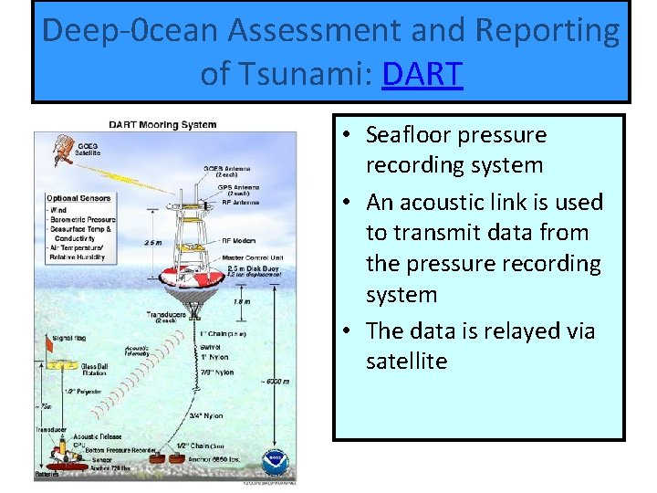 Deep-0 cean Assessment and Reporting Tsunami-harbor wave of Tsunami: DART • Seafloor pressure recording