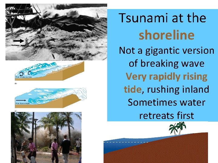 Tsunami at the shoreline Not a gigantic version of breaking wave Very rapidly rising