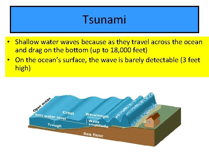 Tsunami • Shallow water waves because as they travel across the ocean and drag