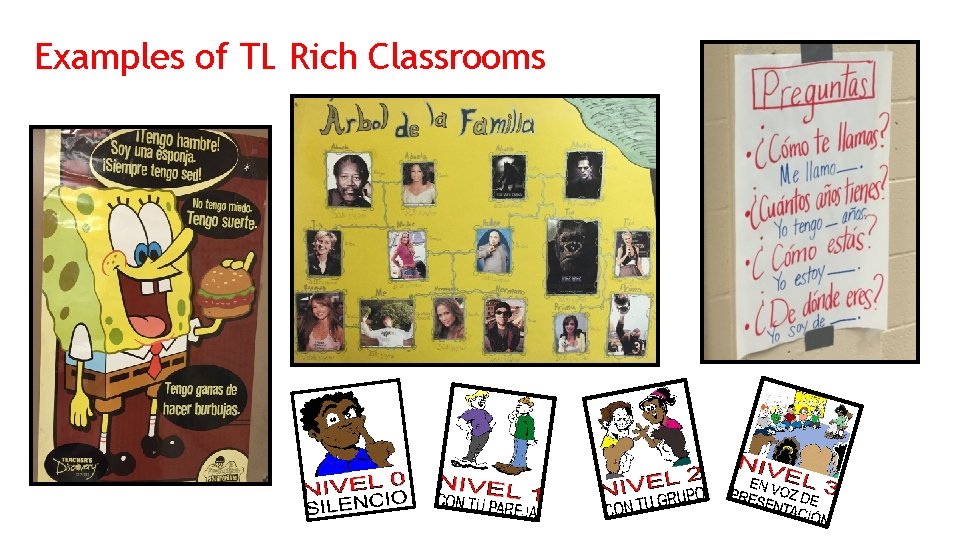 Examples of TL Rich Classrooms 