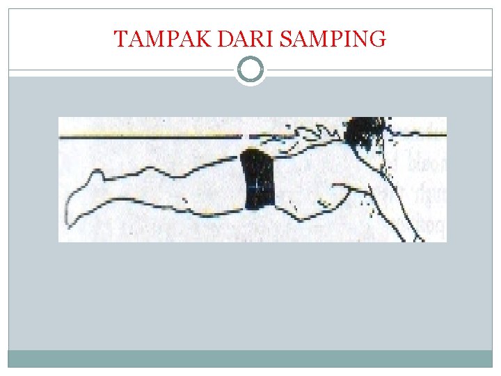 TAMPAK DARI SAMPING 